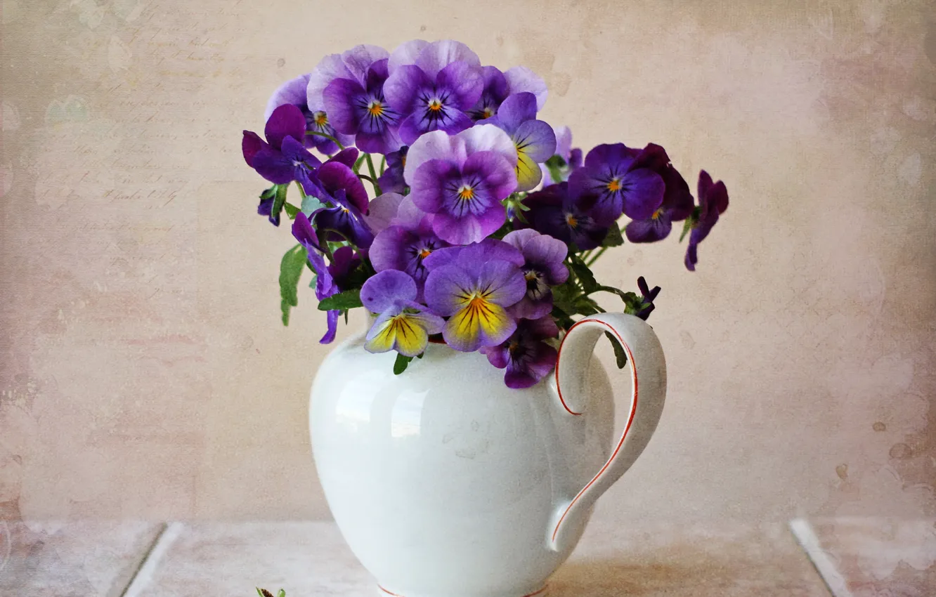 Photo wallpaper texture, pitcher, Pansy, a bunch