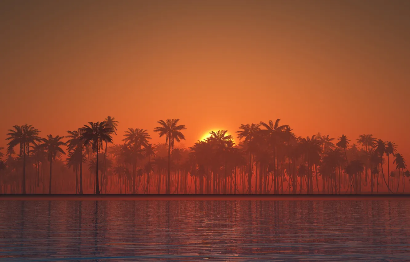Photo wallpaper sea, the sky, sunset, nature, palm trees, shore, silhouette, art