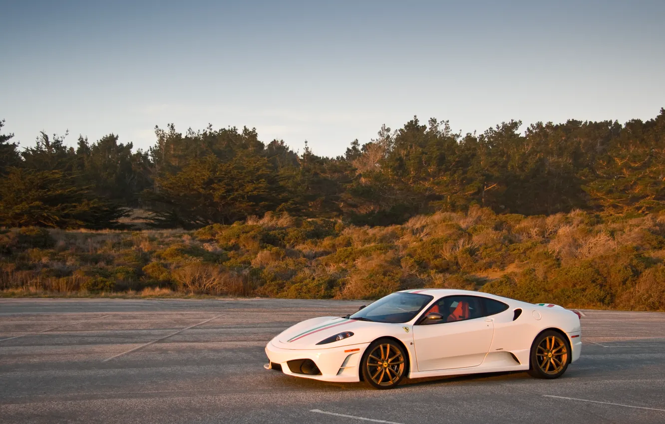 Photo wallpaper white, the sky, grass, trees, shadow, white, ferrari, Ferrari