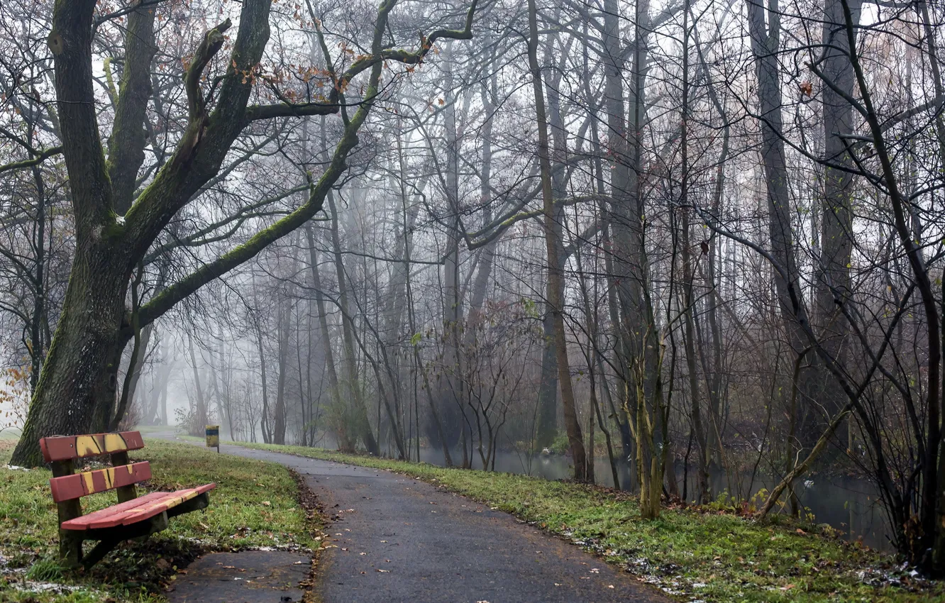 Photo wallpaper the city, Park, spring, bench