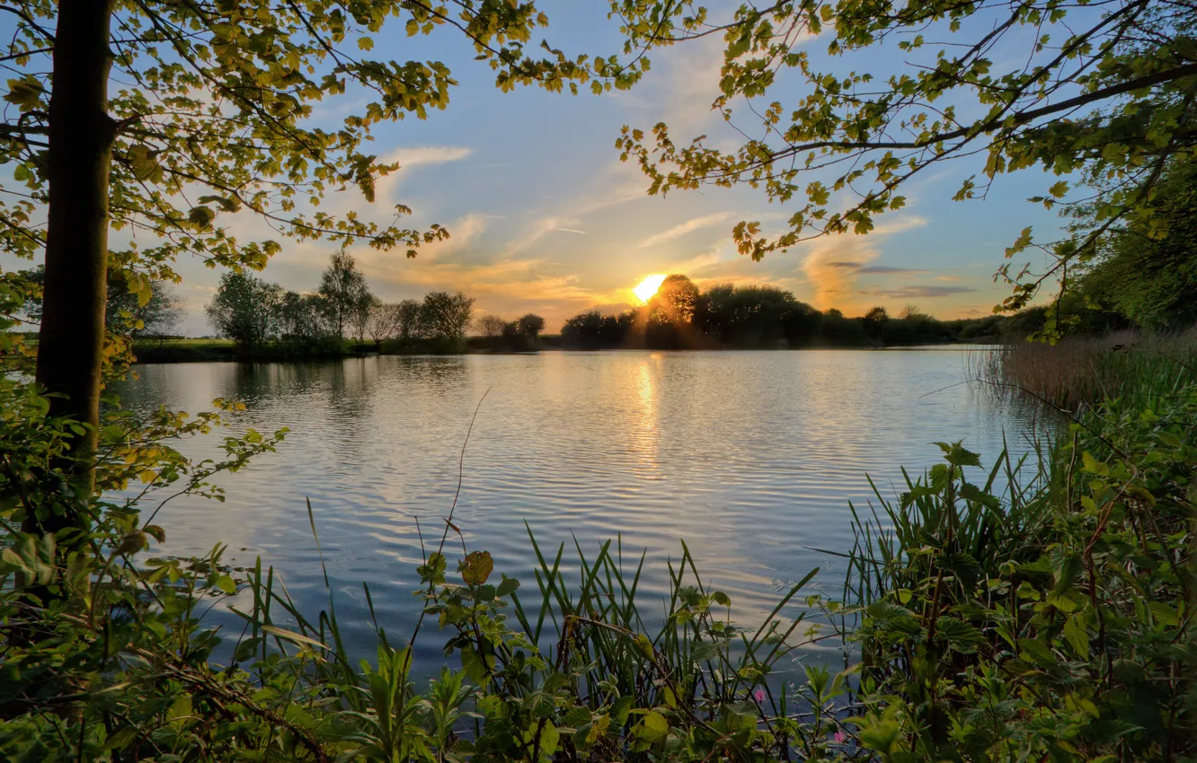 Photo wallpaper the sky, trees, sunset, pond, river, the evening