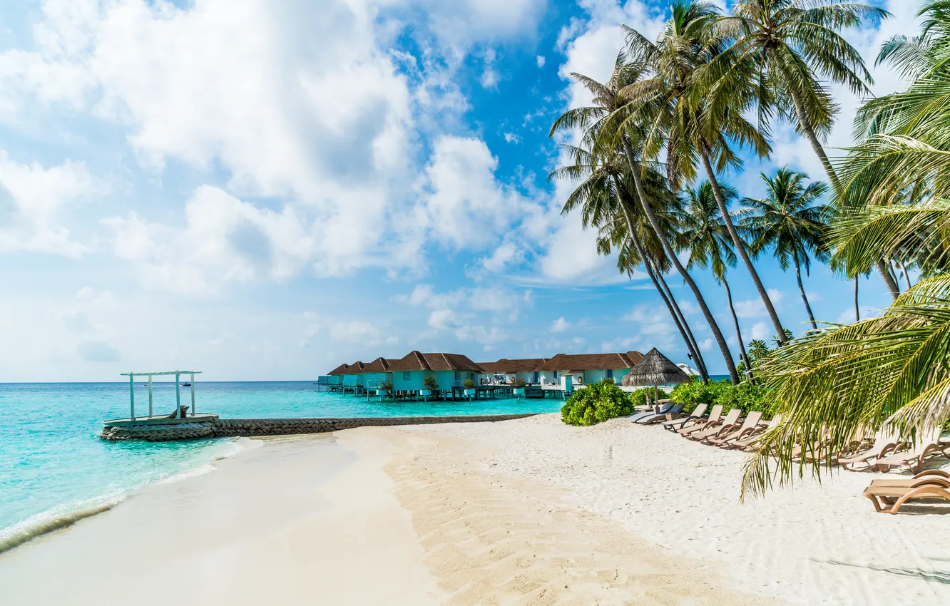 Photo wallpaper sand, sea, wave, beach, summer, the sky, palm trees, shore