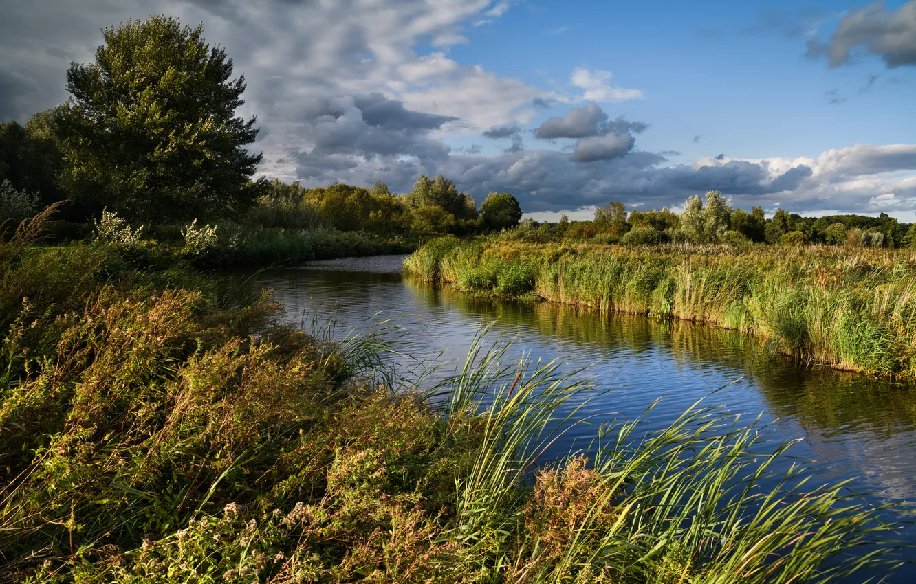 Photo wallpaper clouds, trees, river