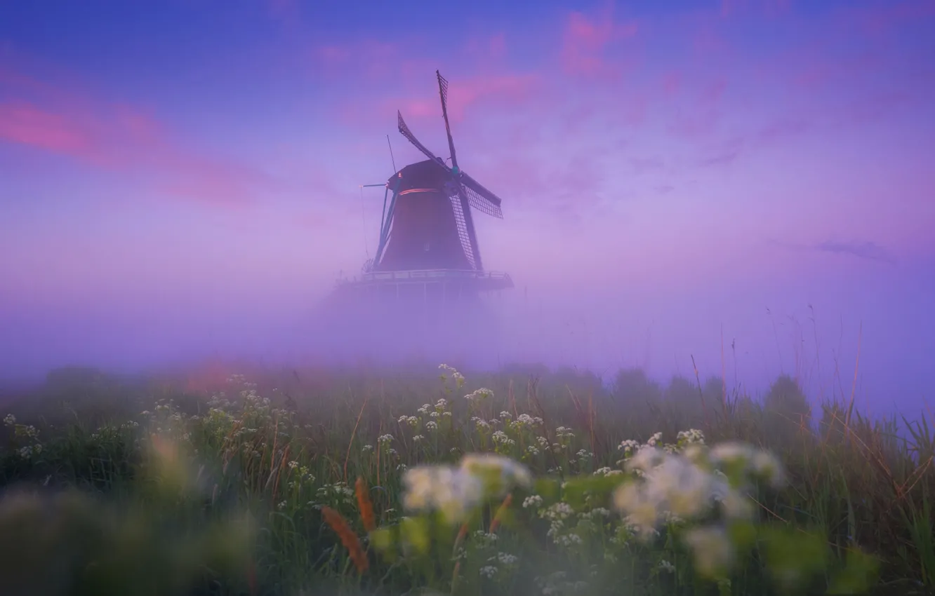 Photo wallpaper grass, fog, Netherlands, windmill