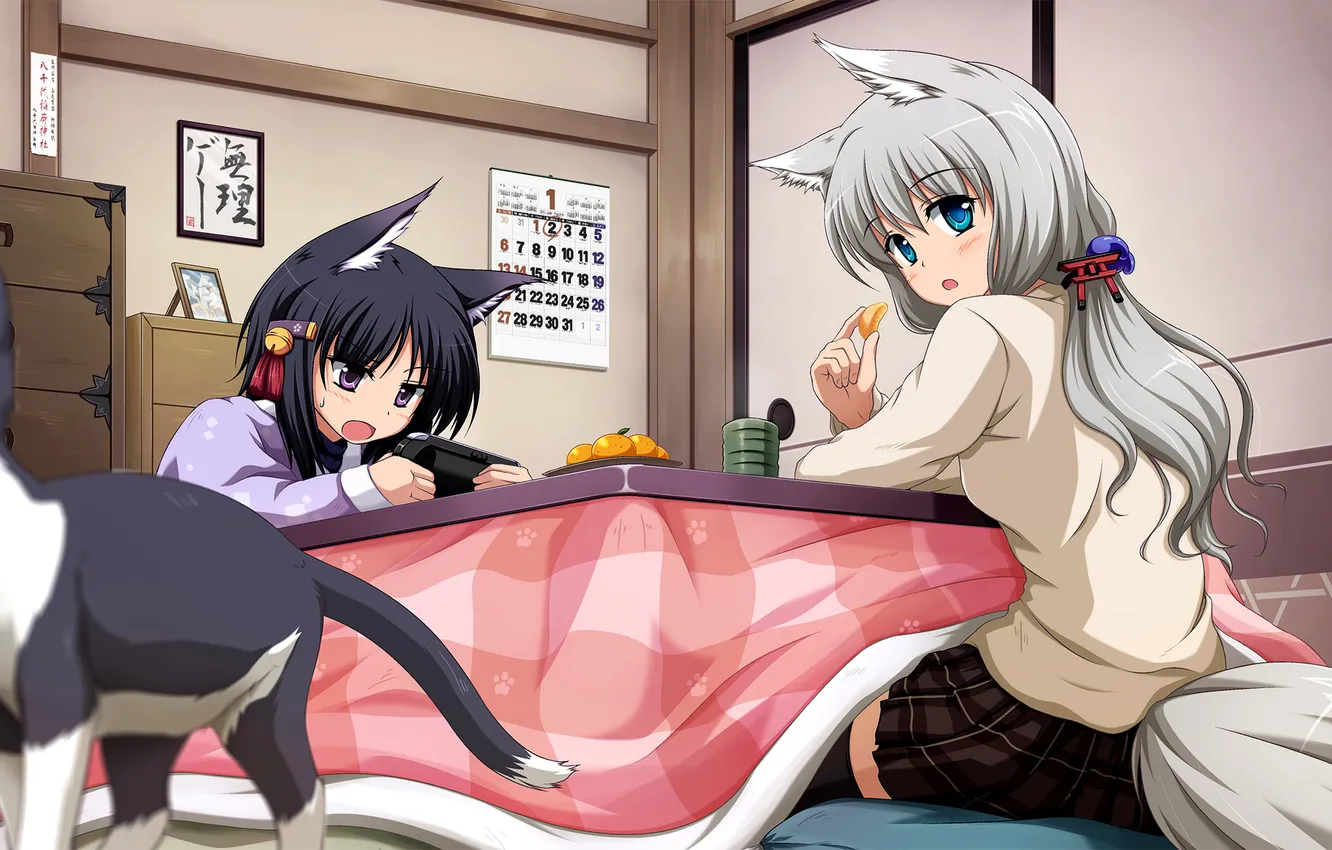 Photo wallpaper original, female, Shira-nyoro