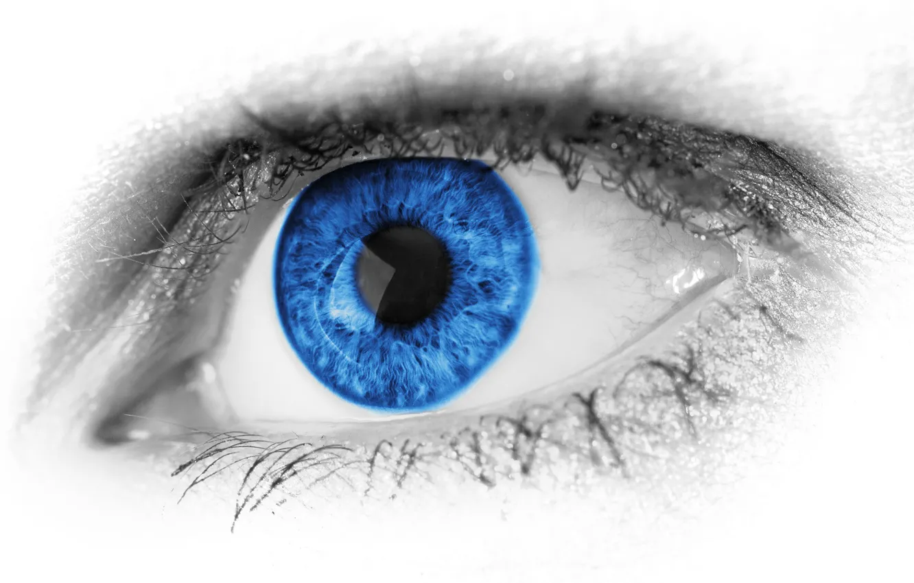 Photo wallpaper macro, eyelashes, macro, blue eyes, eyelashes, blue eye