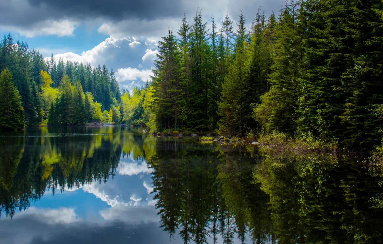 Photo wallpaper forest, reflection, lake, spring, Canada, British Columbia