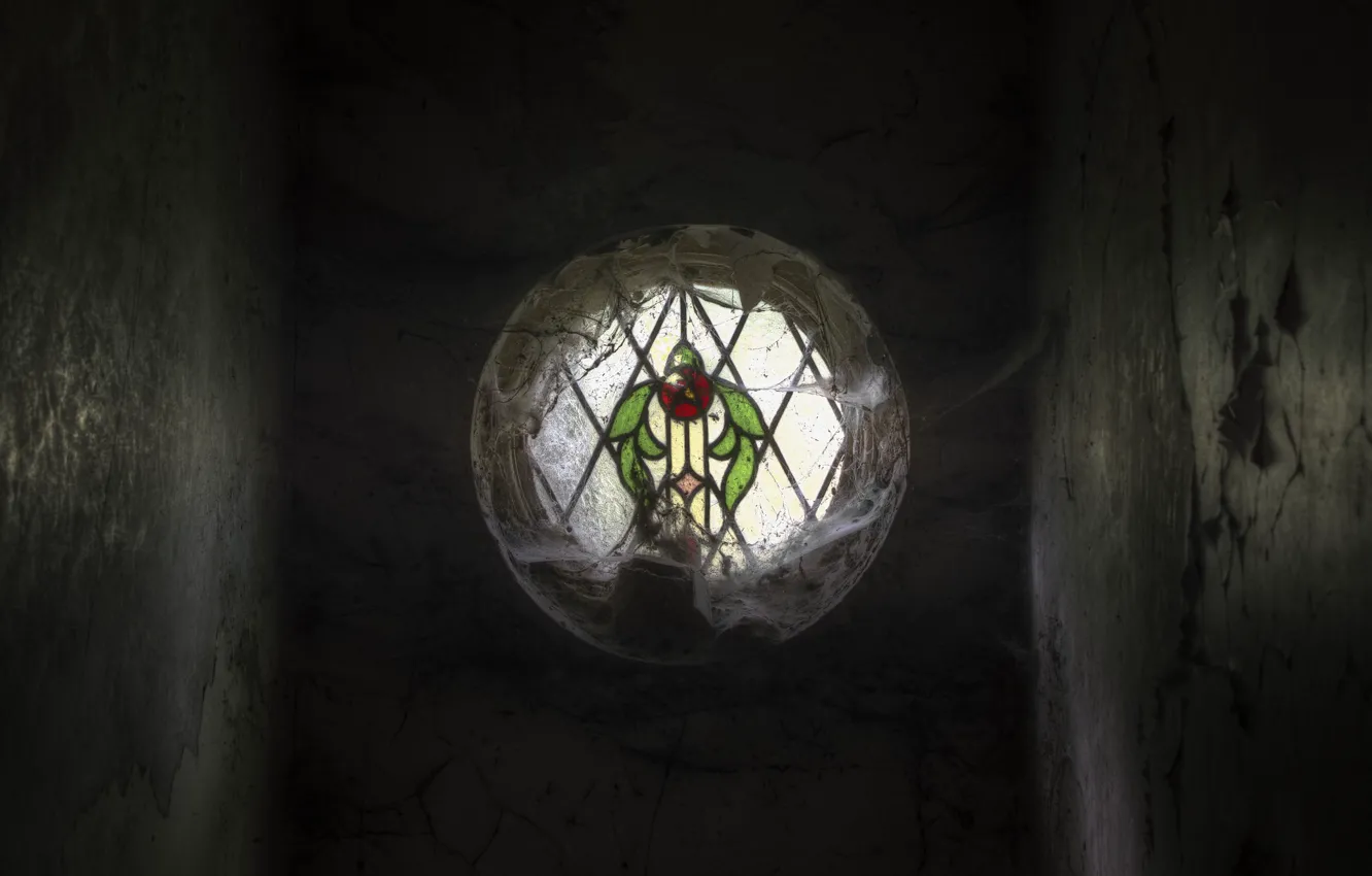 Photo wallpaper web, window, stained glass