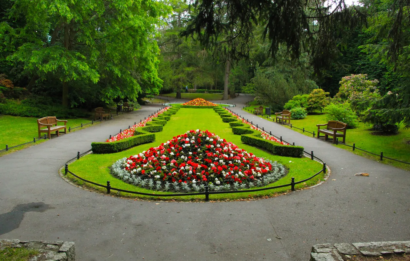 Photo wallpaper park, alley, color, flower