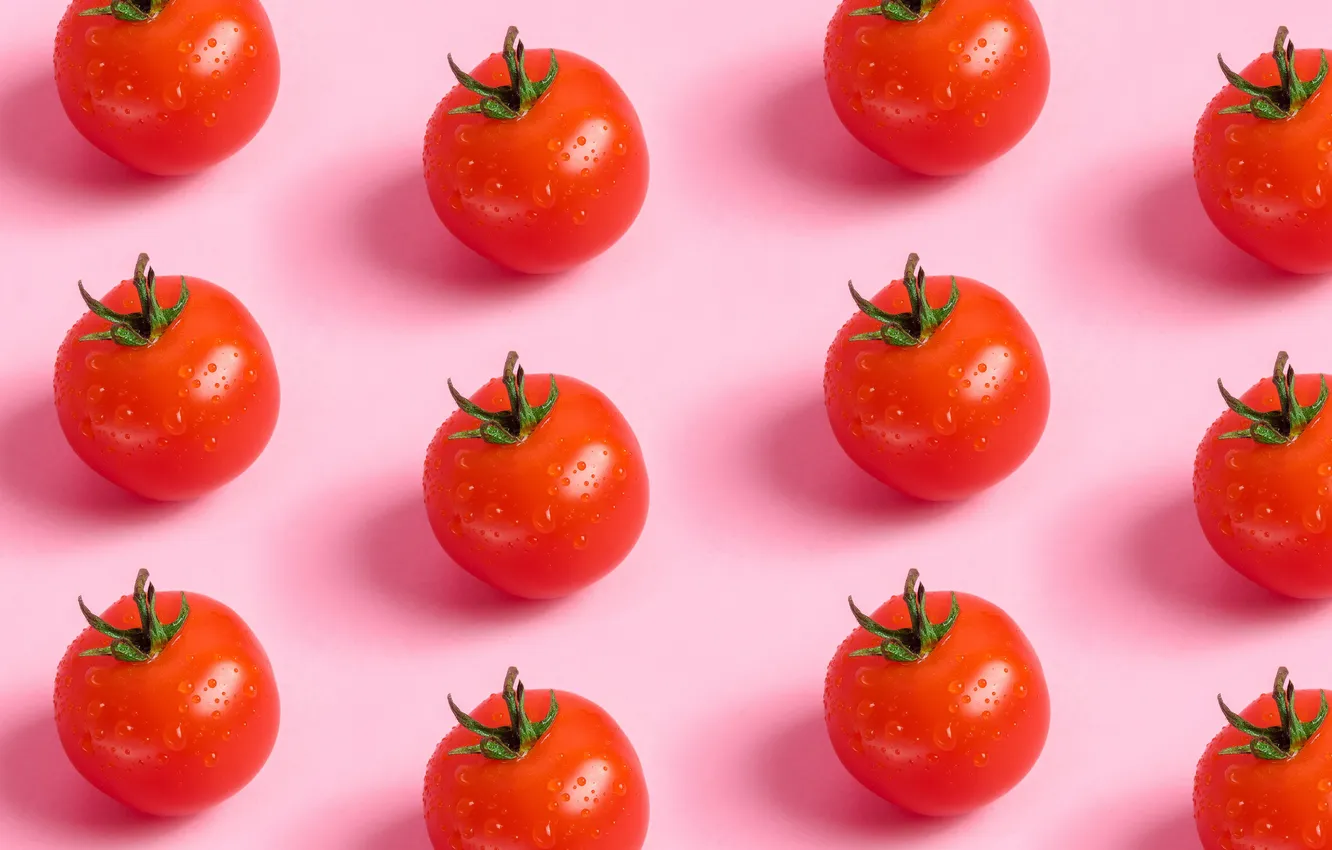 Photo wallpaper wallpaper, water, tomato, vegetable, Top, vegetarian, Vitamin