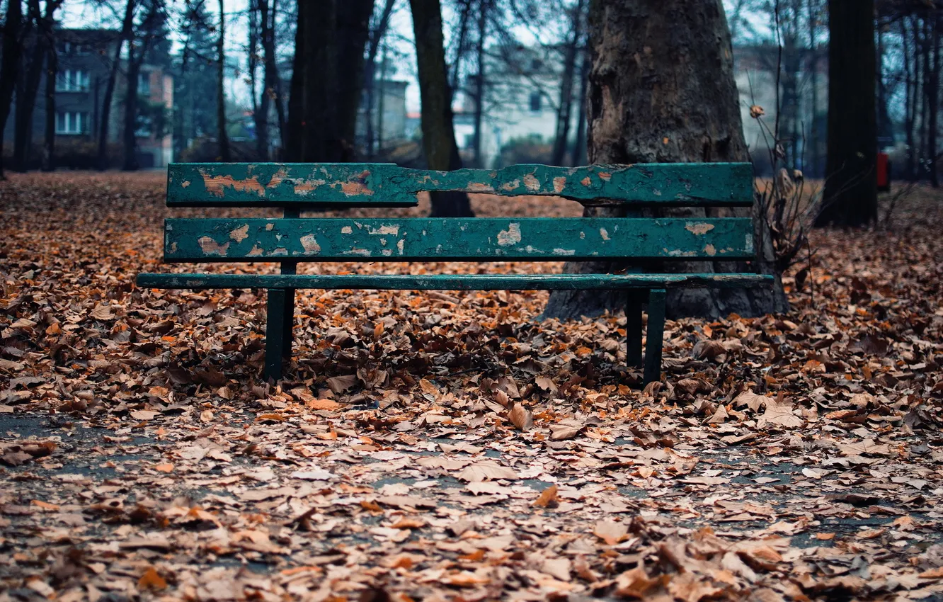 Photo wallpaper autumn, leaves, bench