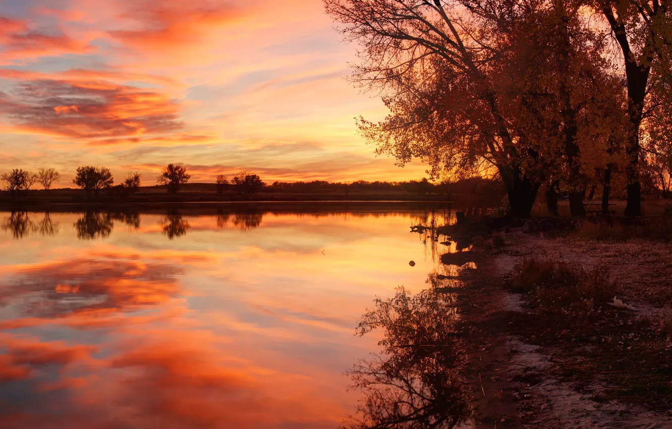 Photo wallpaper autumn, trees, sunset, lake, pond