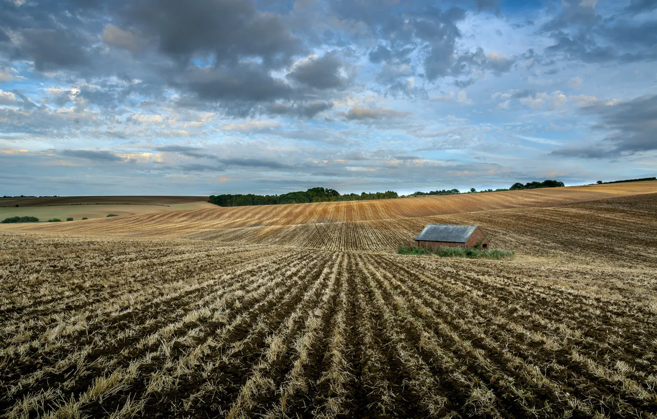 Photo wallpaper field, nature, home, arable land