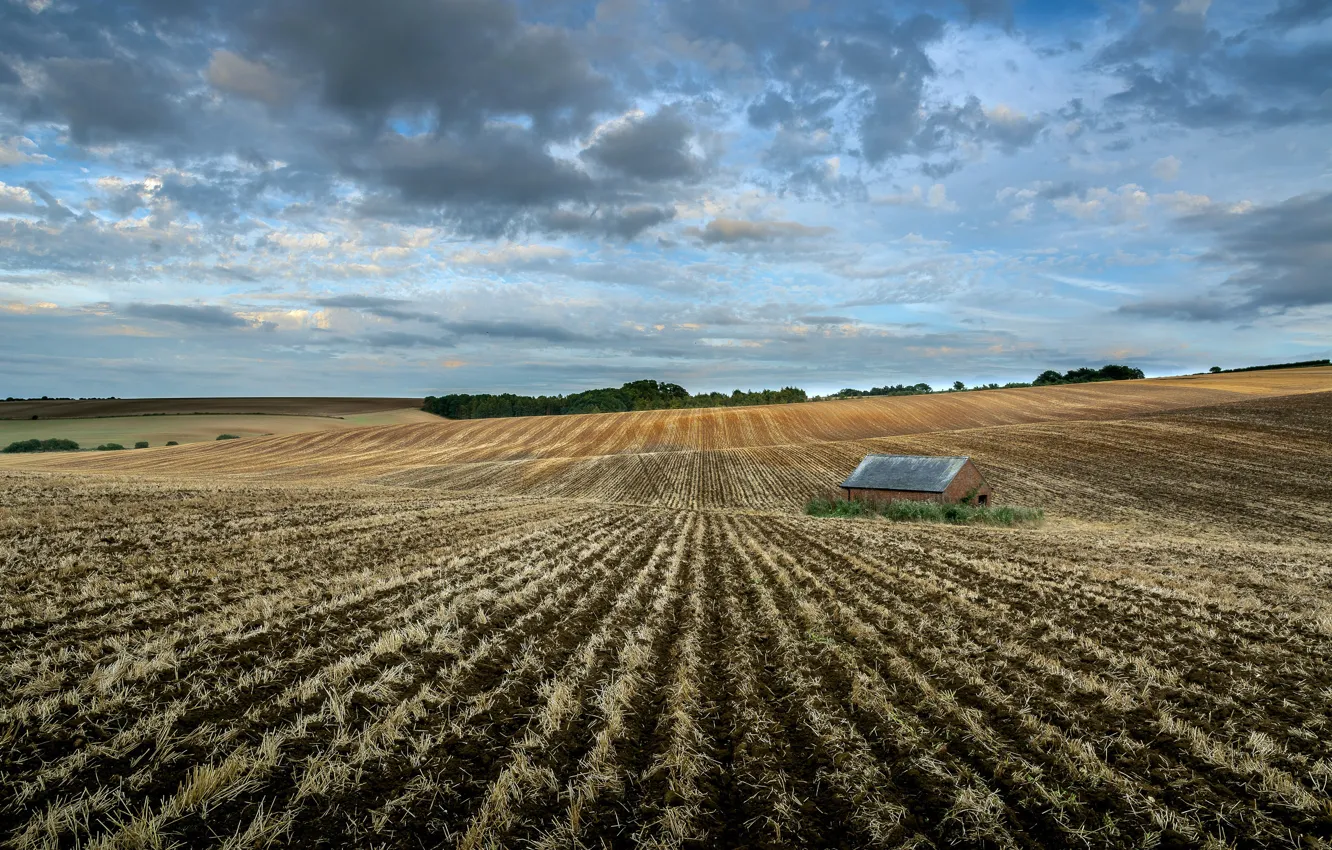 Photo wallpaper field, nature, house, arable land