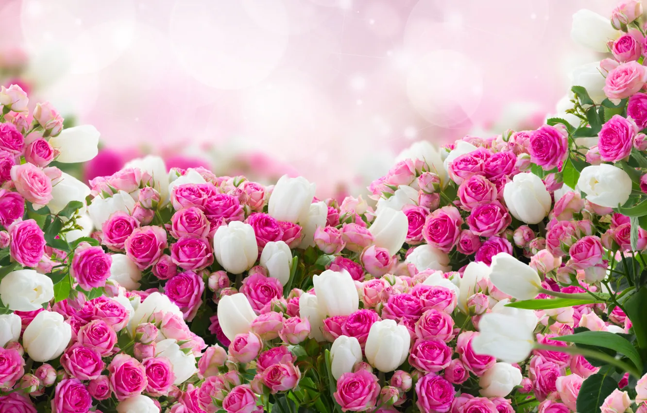 Photo wallpaper flowers, photo, roses, a lot