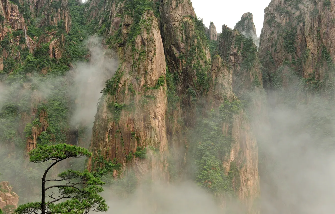 Photo wallpaper mountains, fog, tree, vegetation, China