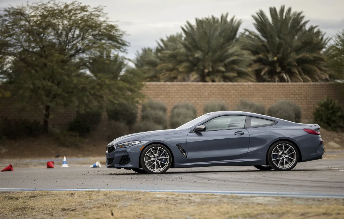 Photo wallpaper coupe, BMW, 2018, in profile, gray-blue, 8-Series, 2019, M850i xDrive