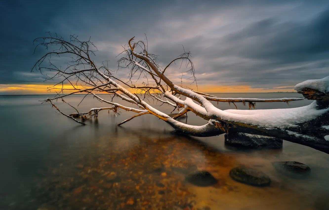 Photo wallpaper winter, the sky, clouds, snow, trees, clouds, lake, stones