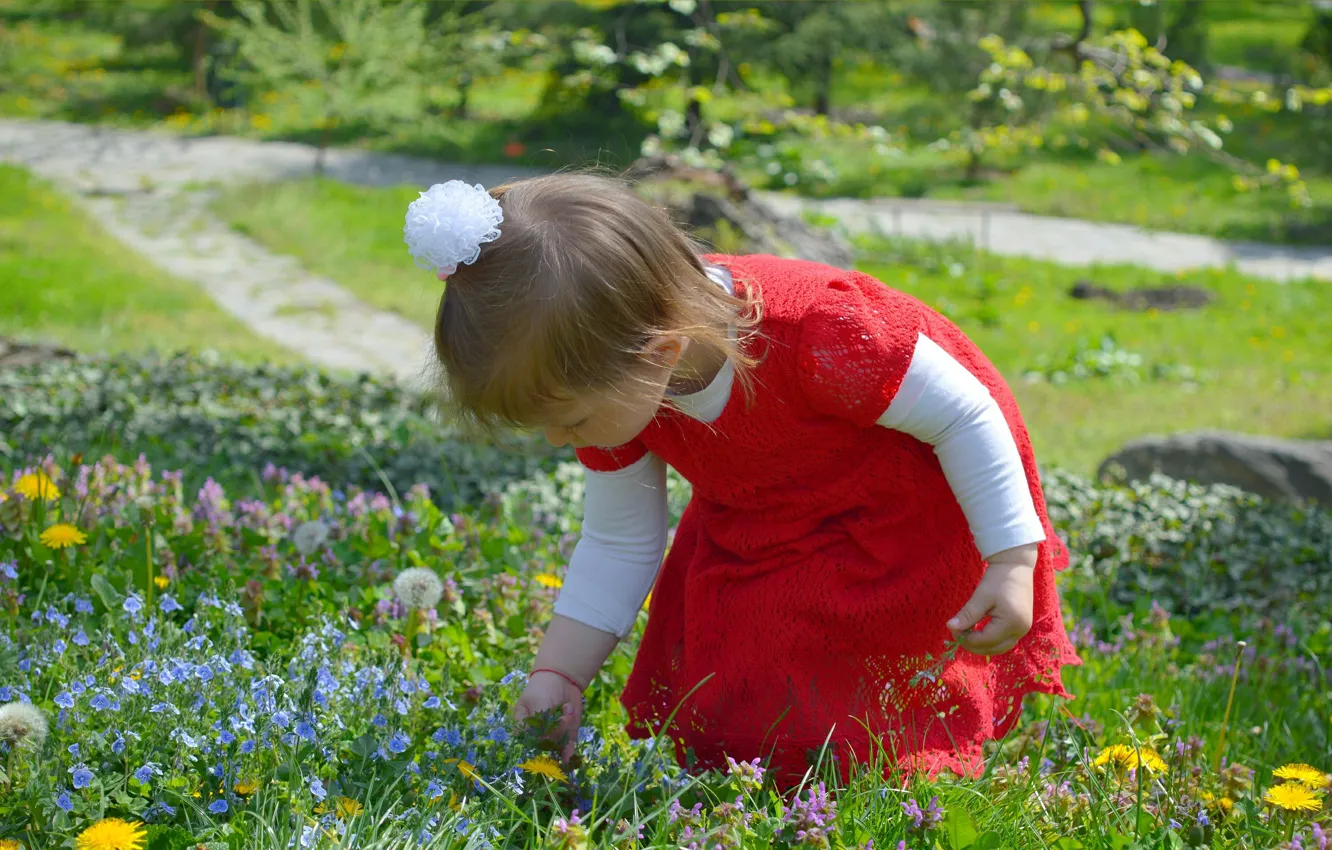 Photo wallpaper nature, girl, flowers, nature, flowers, child