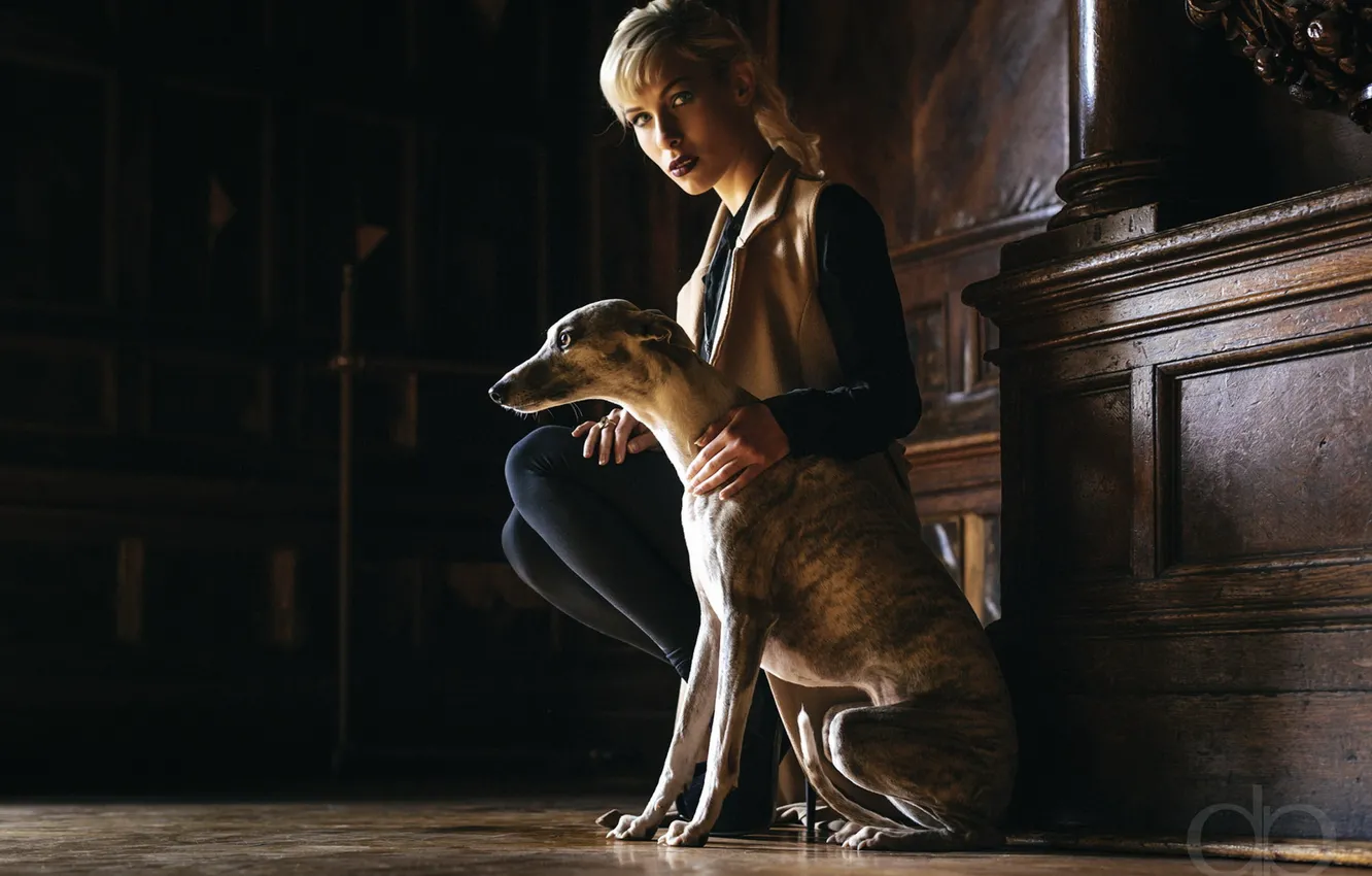 Photo wallpaper girl, home, dog