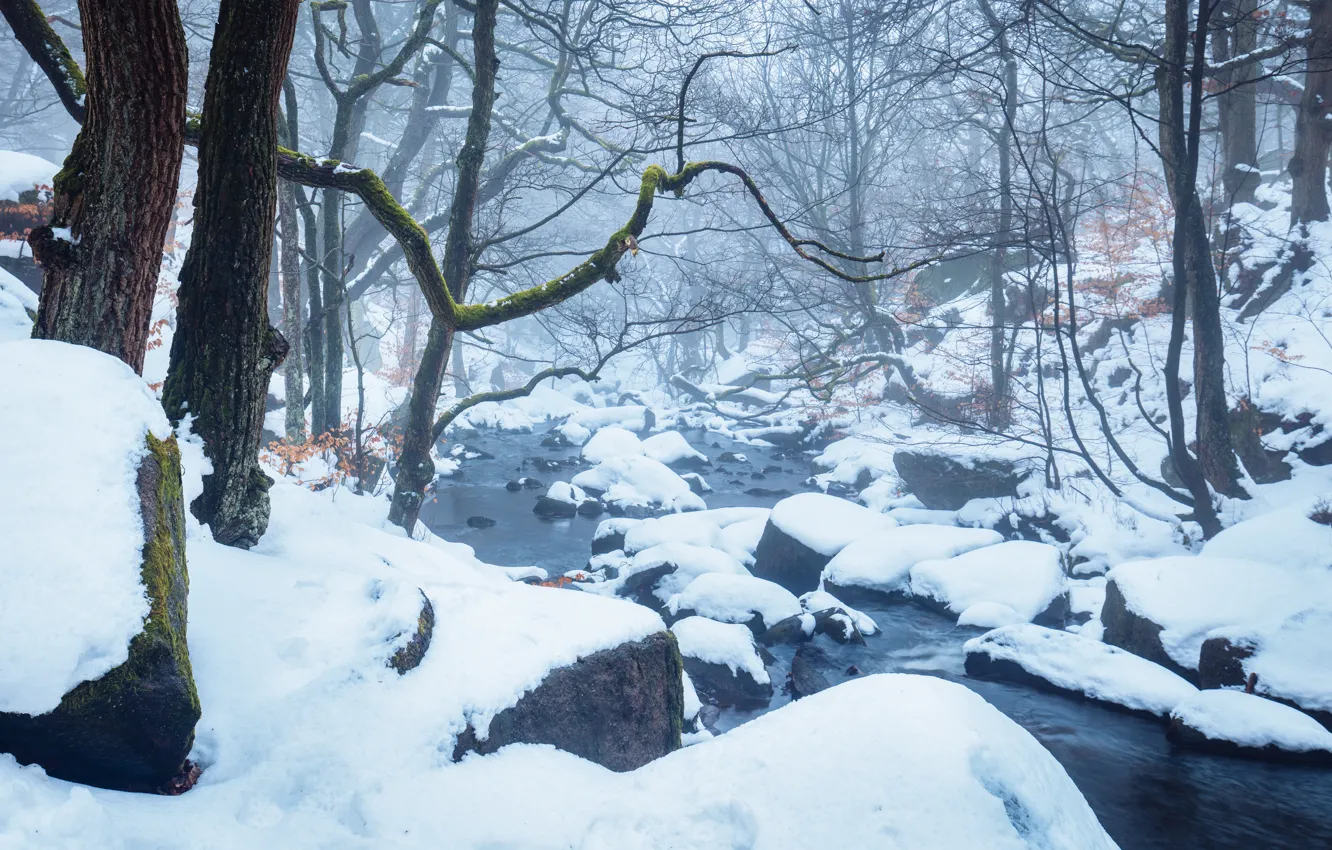 Photo wallpaper winter, snow, stream, England, haze, Peak District