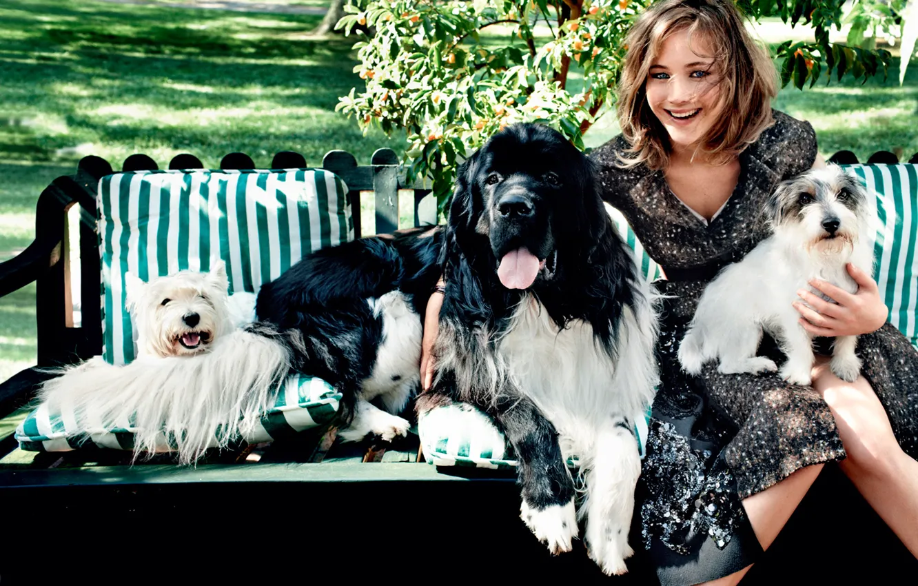 Photo wallpaper laughter, dog, Jennifer Lawrence, Vogue