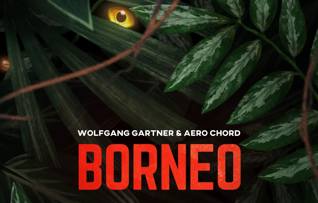 Photo wallpaper Music, Borneo, Cover, Monstercat, Wolfgang Gartner & Aero Chord