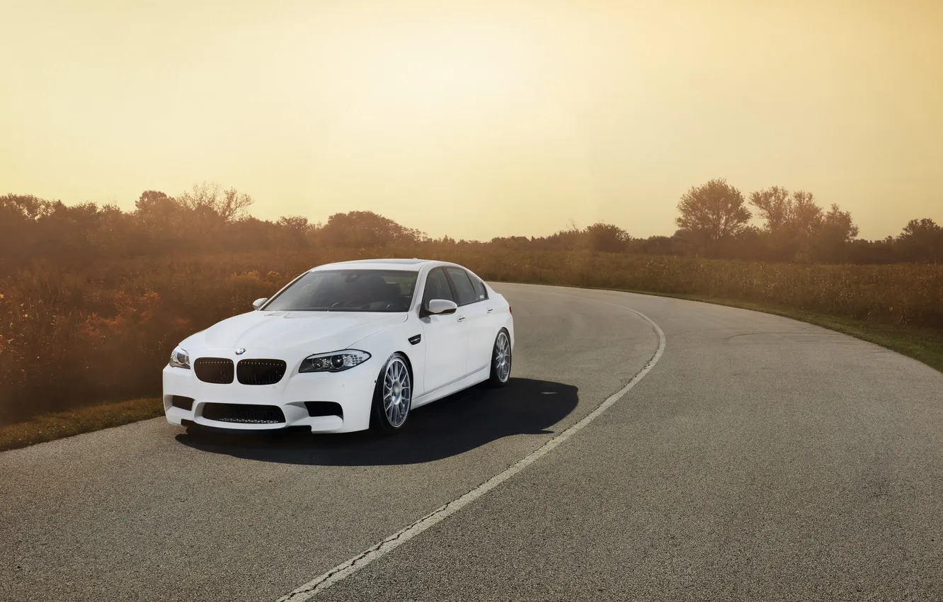 Photo wallpaper road, white, the sky, trees, markup, bmw, BMW, shadow