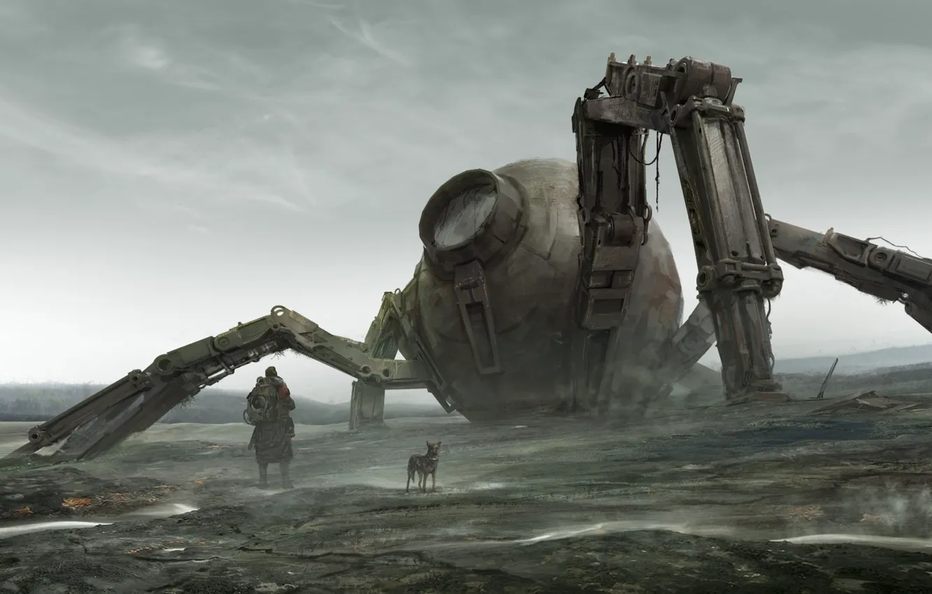 Photo wallpaper people, dog, camera, Dog walking