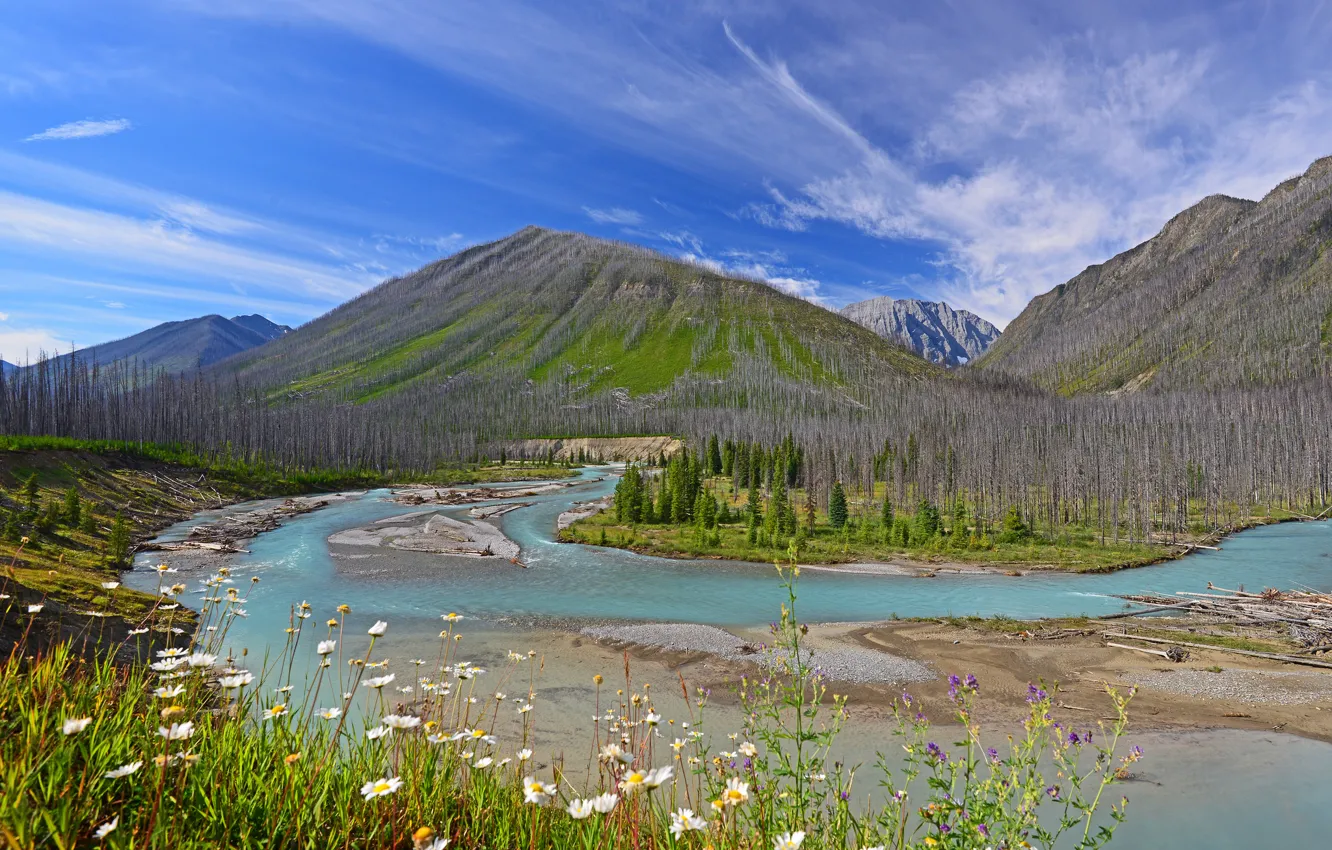 Photo wallpaper the sky, clouds, trees, mountains, river