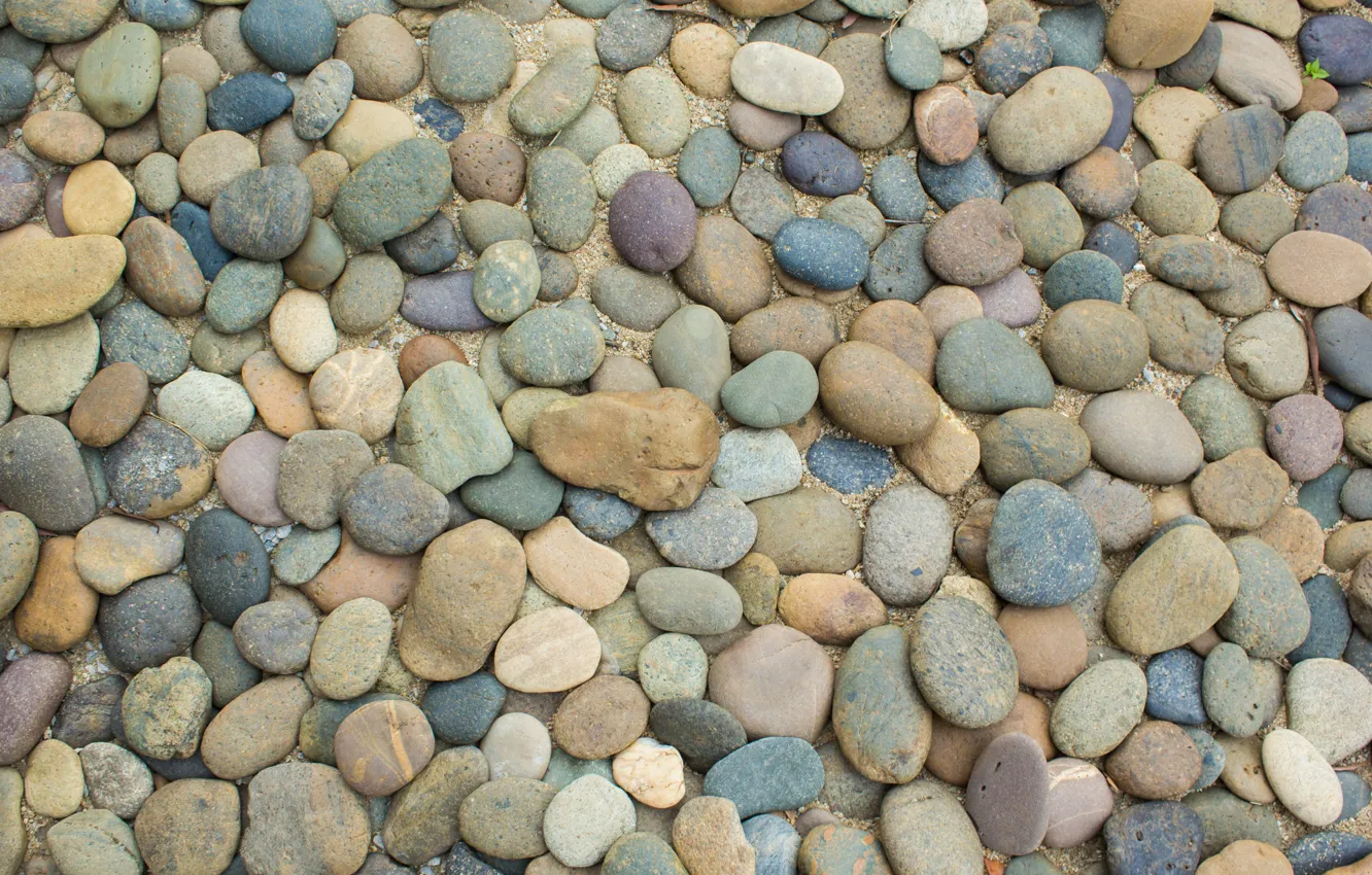 Photo wallpaper beach, pebbles, stones, background, beach, texture, sea, marine