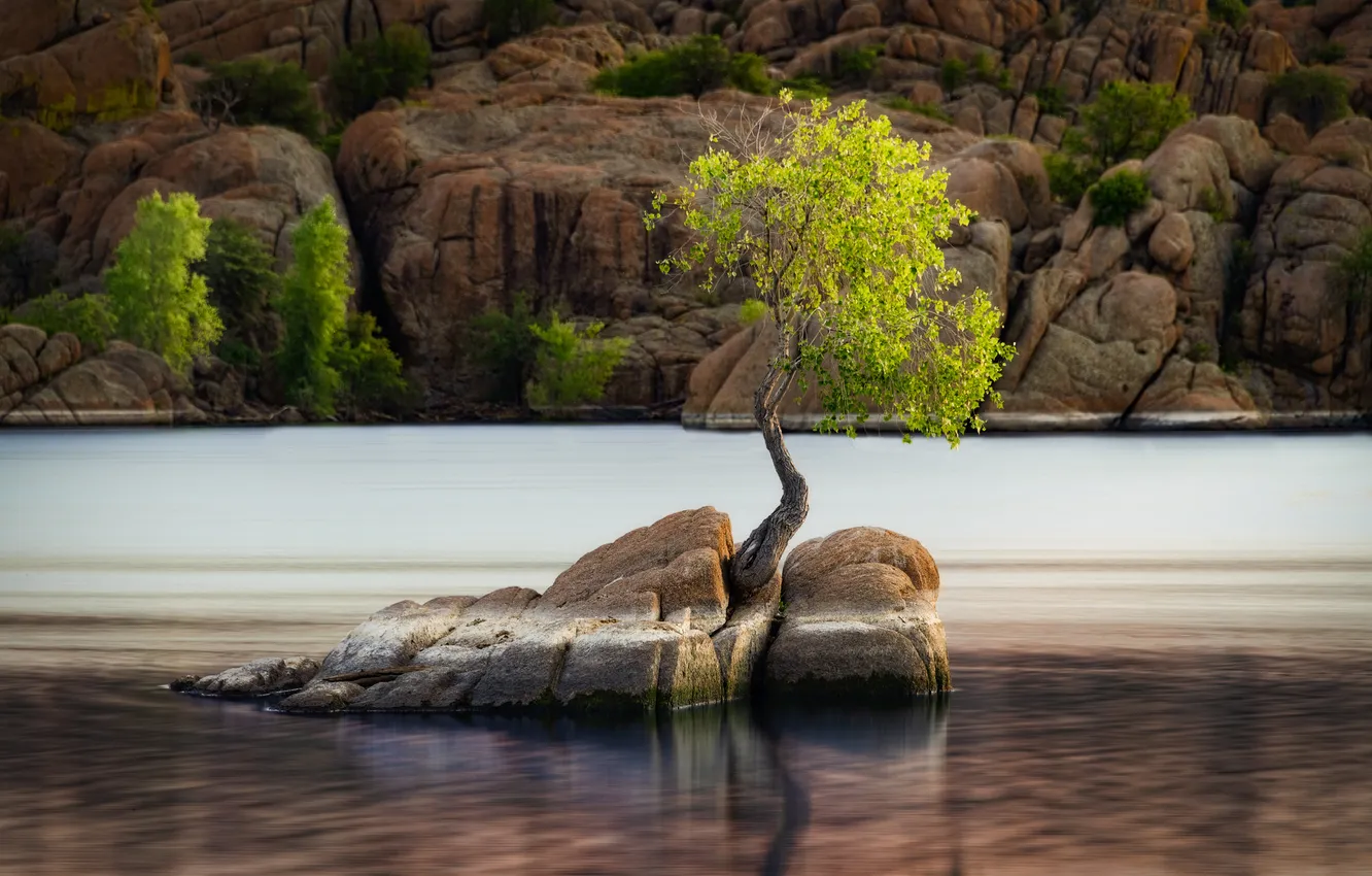 Photo wallpaper trees, stones, rocks, shore, tree, pond