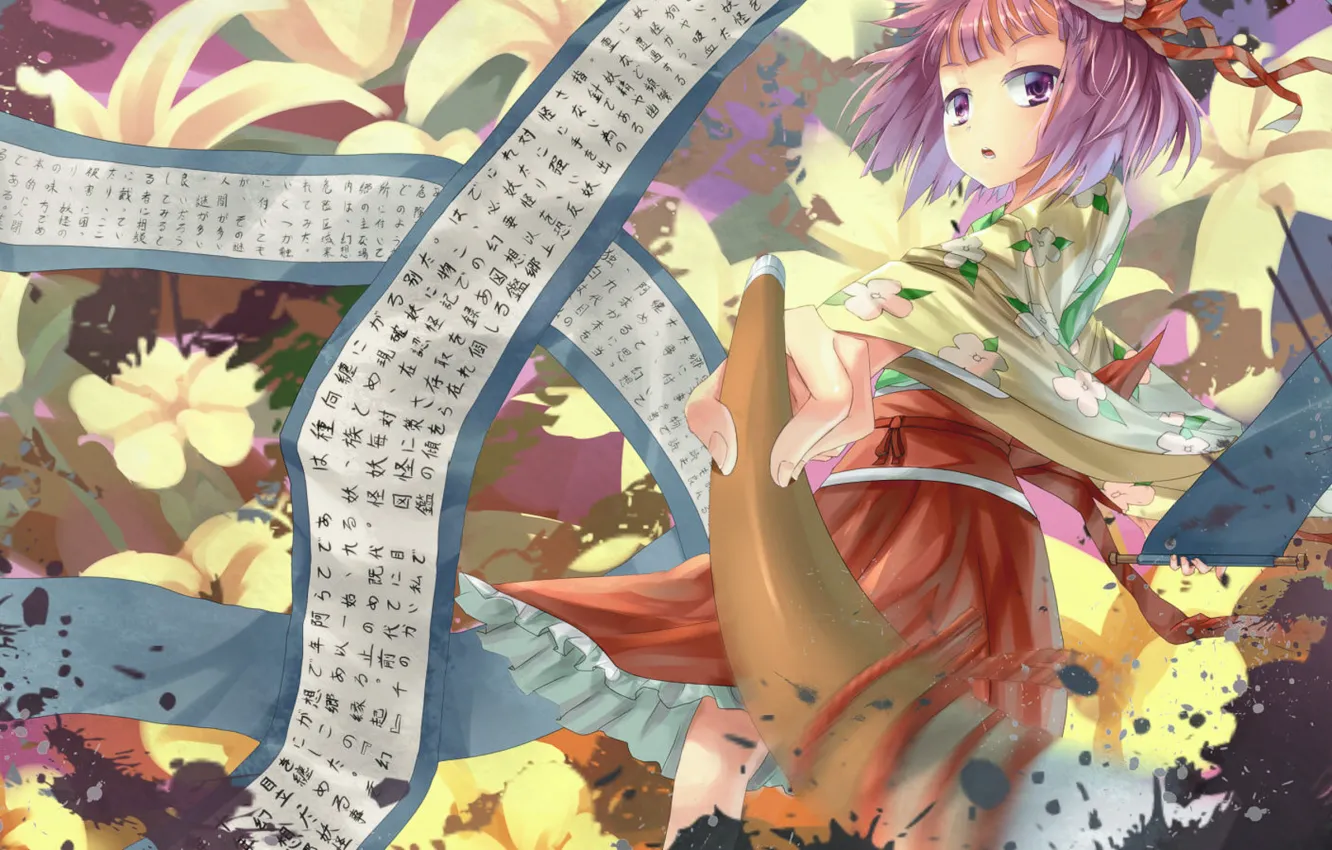 Photo wallpaper touhou, akyu, hieda