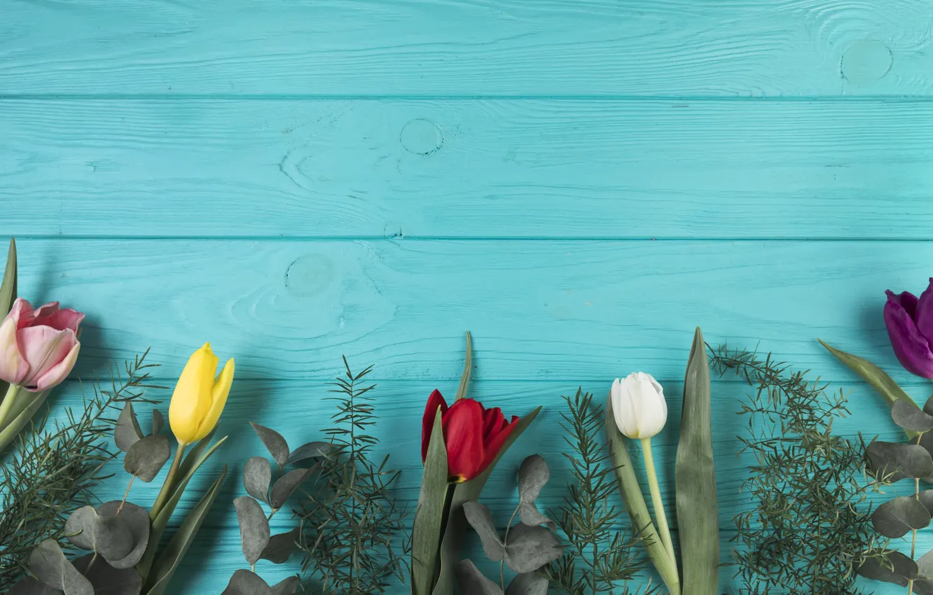 Photo wallpaper flowers, colorful, tulips, flowers, beautiful, tulips, spring, multicolored