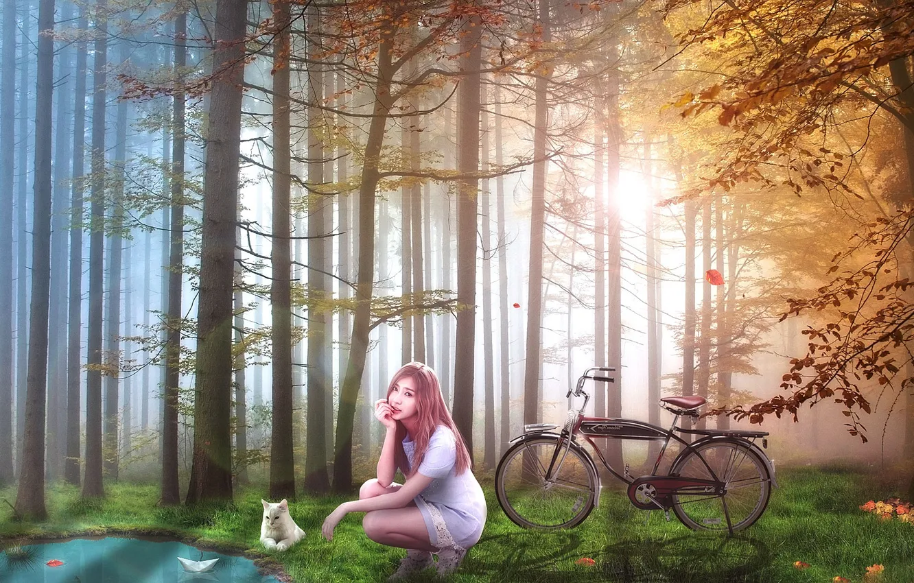 Photo wallpaper forest, cat, girl, trees, bike, lake, brown hair, Asian
