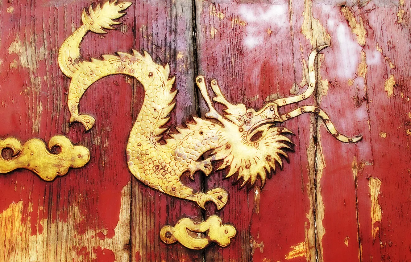 Photo wallpaper metal, dragon, Board, door, wood, riveting