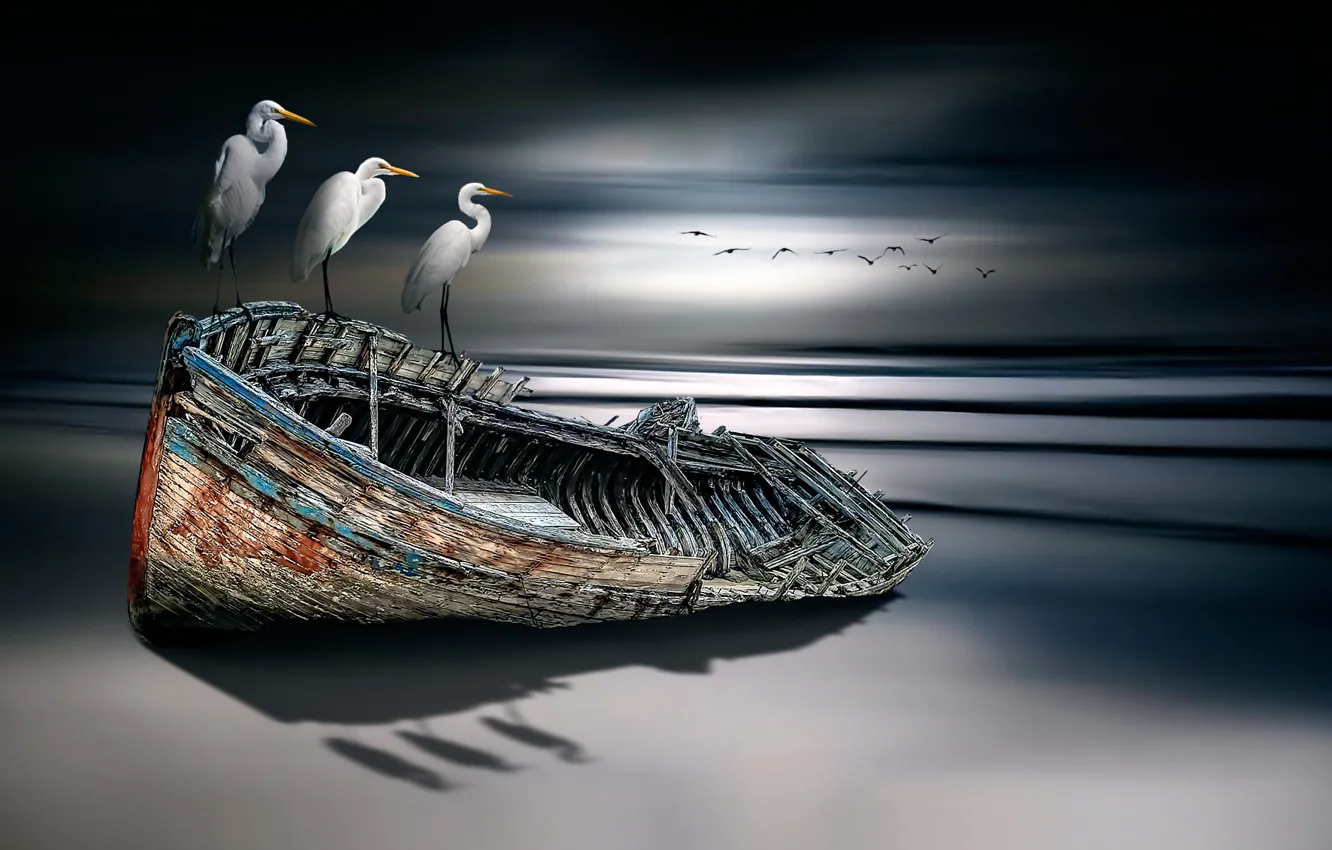 Photo wallpaper birds, boat, fine art