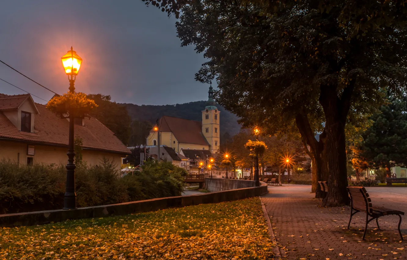 Photo wallpaper autumn, leaves, trees, bench, lights, stream, home, the evening