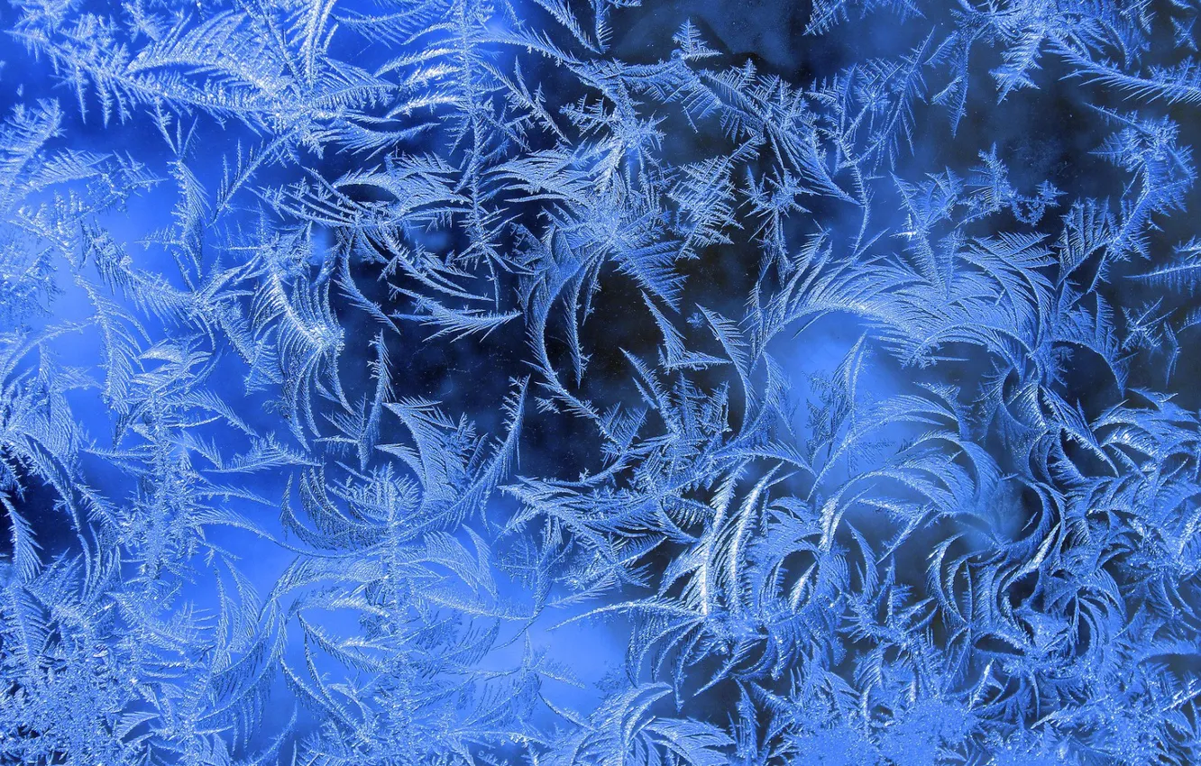 Photo wallpaper winter, frost, macro, frost, frost, patterns on the window