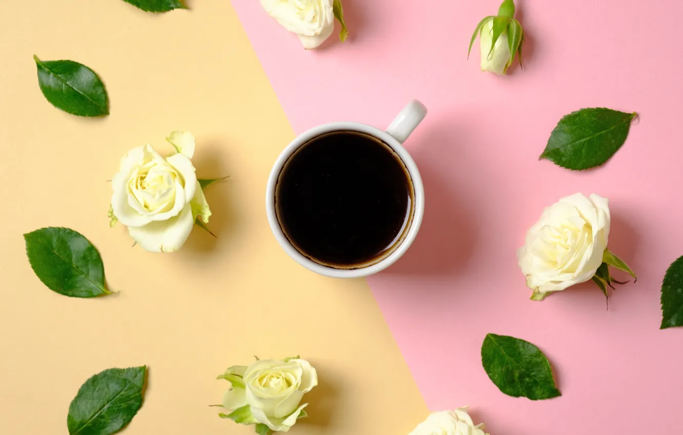Photo wallpaper flowers, background, roses, Cup, buds