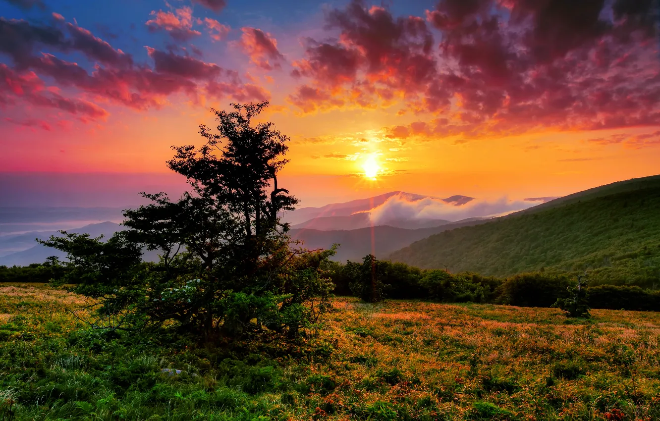 Photo wallpaper the sky, the sun, clouds, rays, mountains, hills, morning, USA