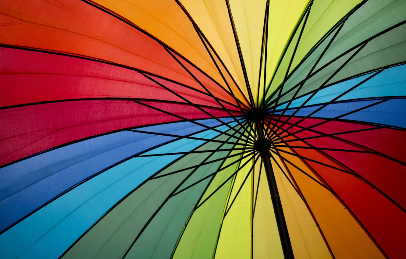 Photo wallpaper color, umbrella, colors, umbrella