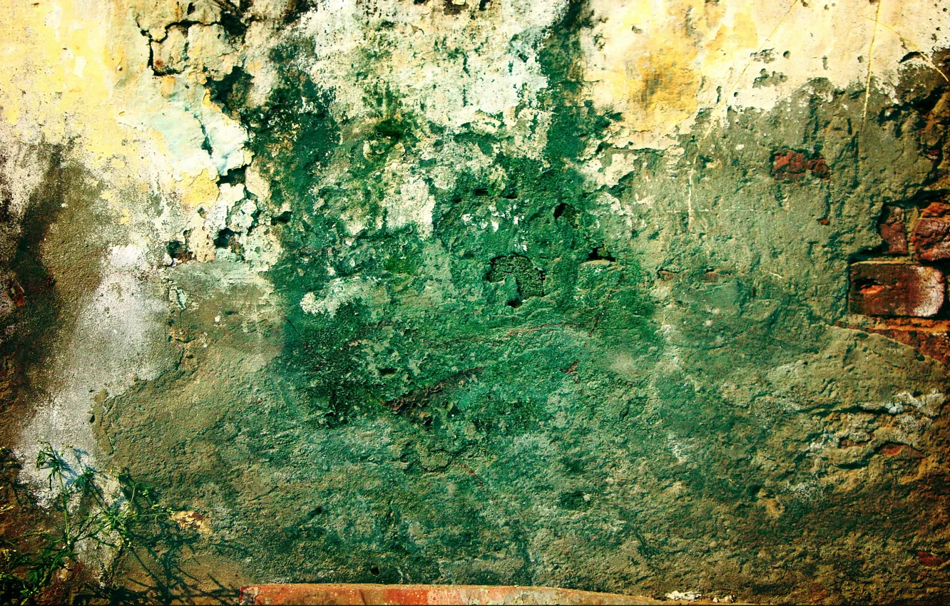 Photo wallpaper green, wall, pattern, grunge, plant, brick, dirty