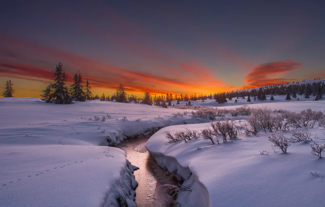Photo wallpaper winter, snow, trees, river, rasvet