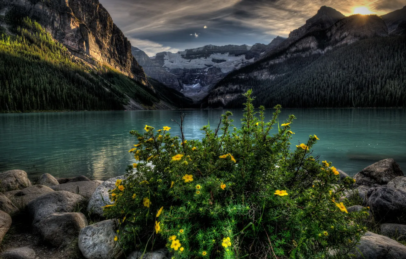 Photo wallpaper landscape, flowers, mountains, lake