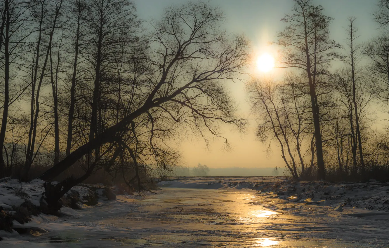 Photo wallpaper ice, winter, the sun, snow, trees, river