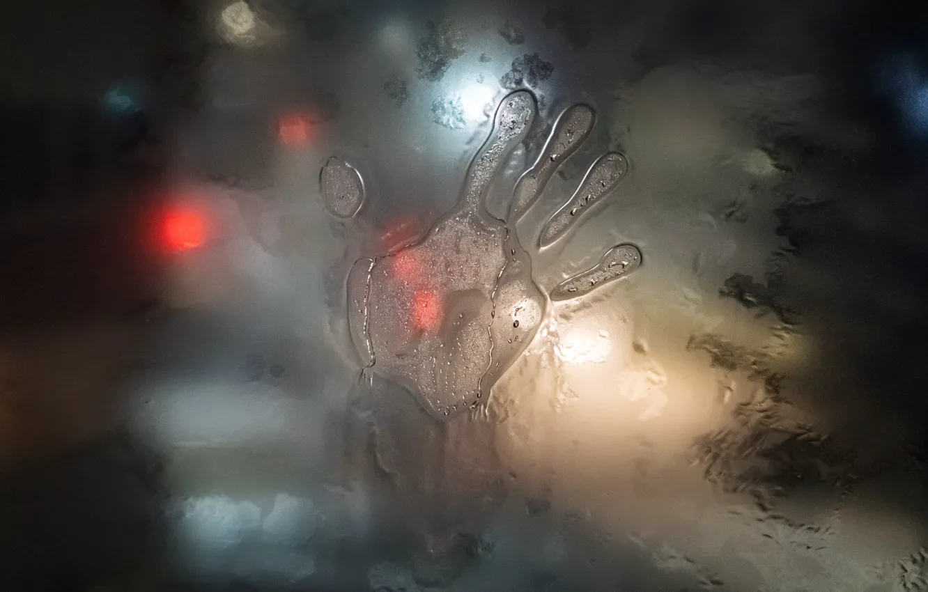 Photo wallpaper the city, rain, palm