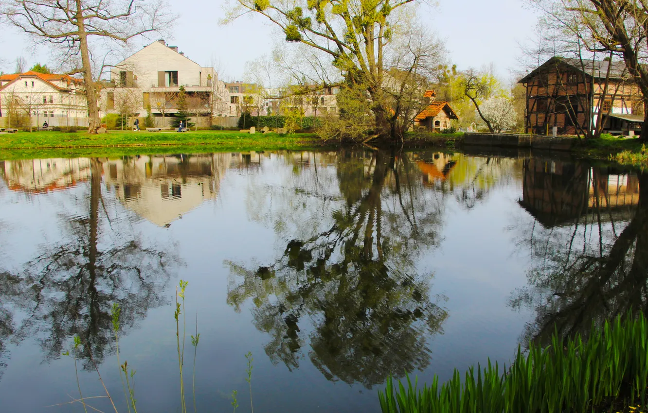 Photo wallpaper park, lake, pond