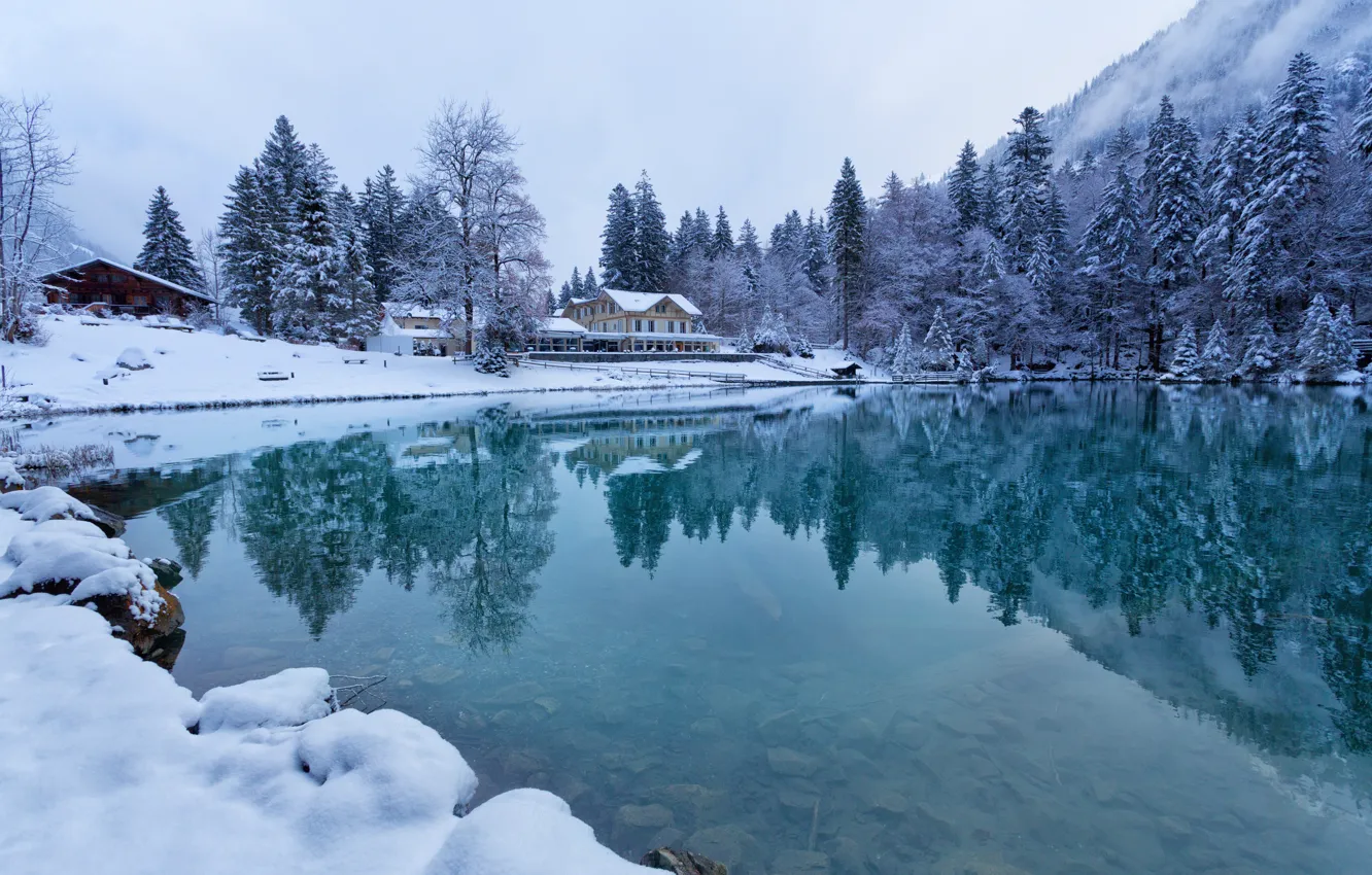 Photo wallpaper winter, forest, water, snow, reflection, trees, lake, home