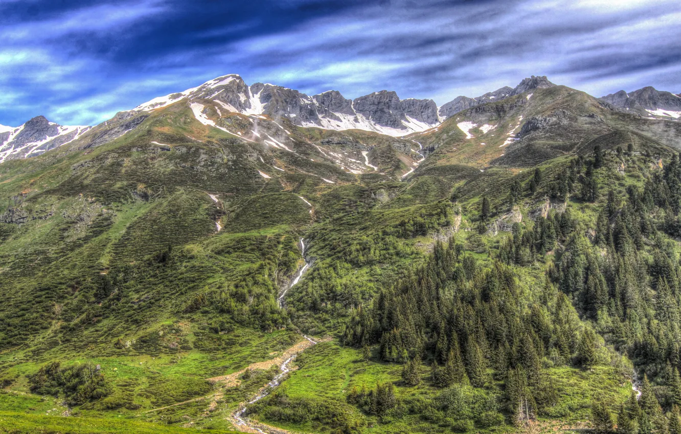 Photo wallpaper forest, trees, landscape, mountains, HDR
